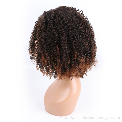 Heat Resistance Wigs Curl With Highlights Short Premium Fiber Wholesale Heat Resistant Afro Curls Wigs Synthetic Hair Wig